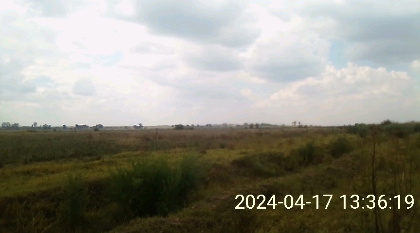  Bedroom Property for Sale in Koppies Rural Free State